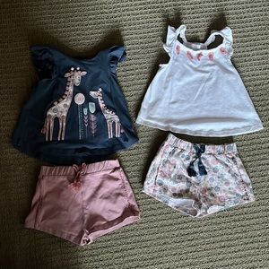 Dylan & Abby  4 piece toddler girl blue and pink giraffe set- 24 months